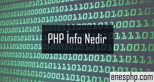 PHP İnfo Nedir