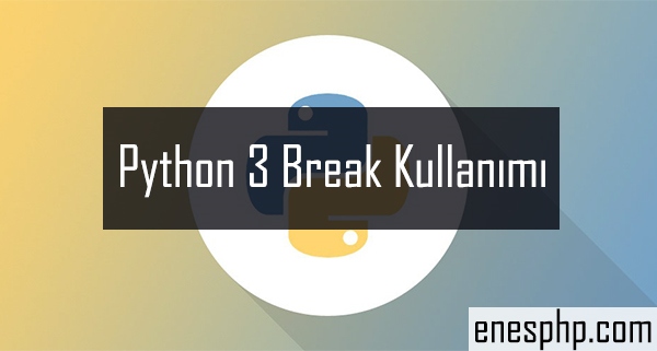 Python 3 Break Kullanımı